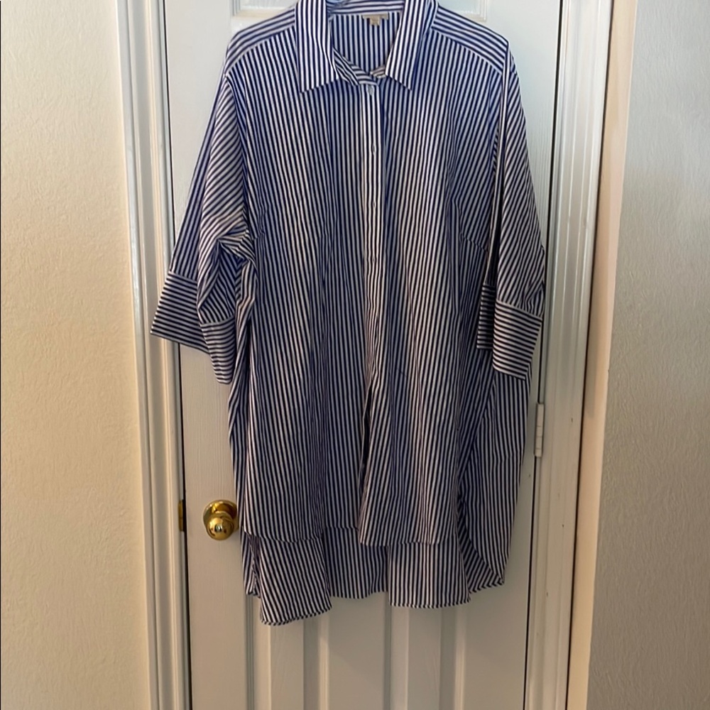 Avenue Blue and White Striped Casual Button Down Shirt